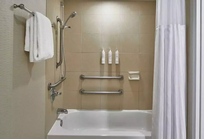 اتاق استاندارد با 2 تخت دوبل, Detroit Metro Airport Marriott