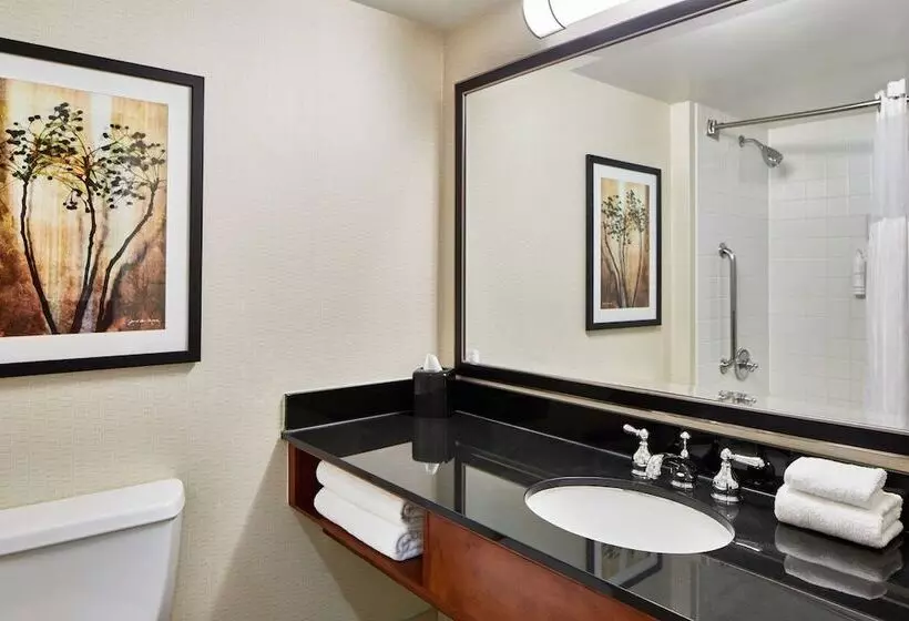 اتاق استاندارد با 2 تخت دوبل, Detroit Metro Airport Marriott