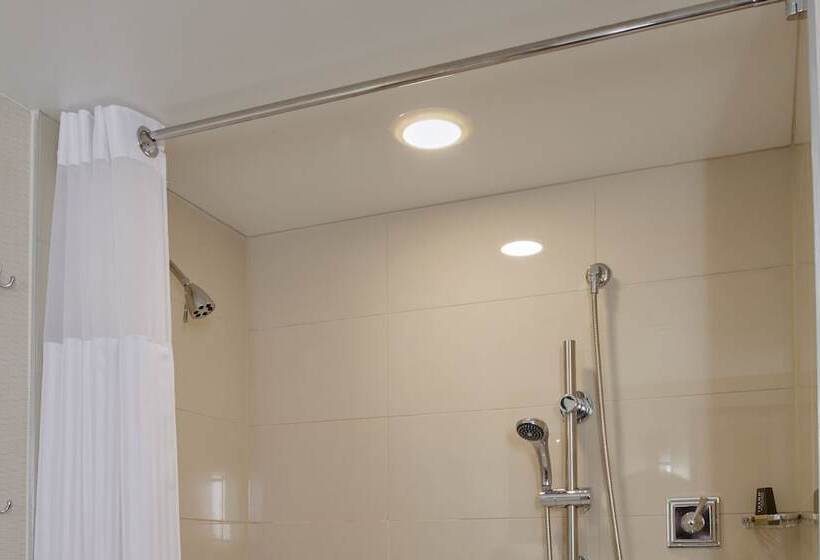 带2个双人床的标准工作室, Detroit Metro Airport Marriott