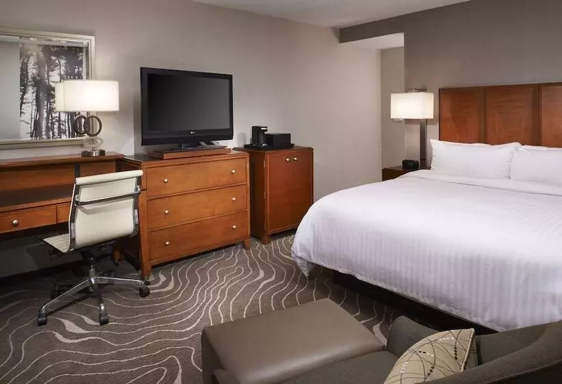 اتاق استاندارد با تخت دوبل, Detroit Metro Airport Marriott