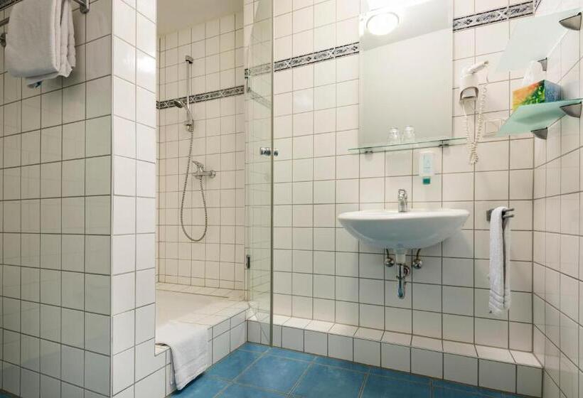 Номер Стандарт Индивидуальный, Nibelungen Hof