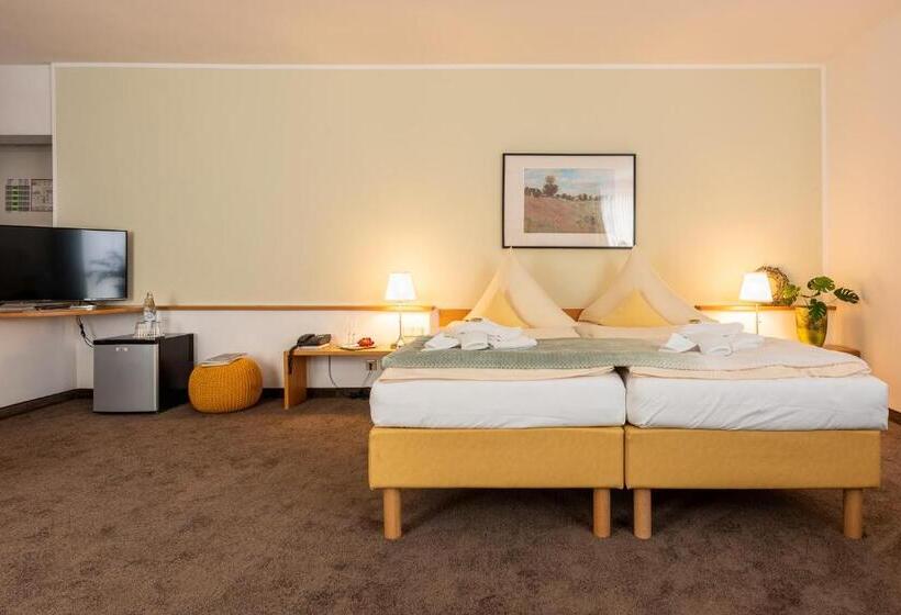 Номер Стандарт, Nibelungen Hof