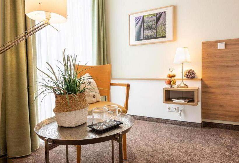 Номер Стандарт, Nibelungen Hof