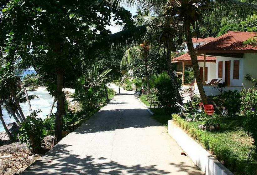 اتاق استاندارد, Patatran Village