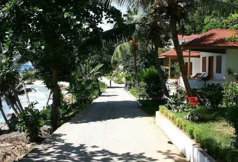 اتاق استاندارد, Patatran Village