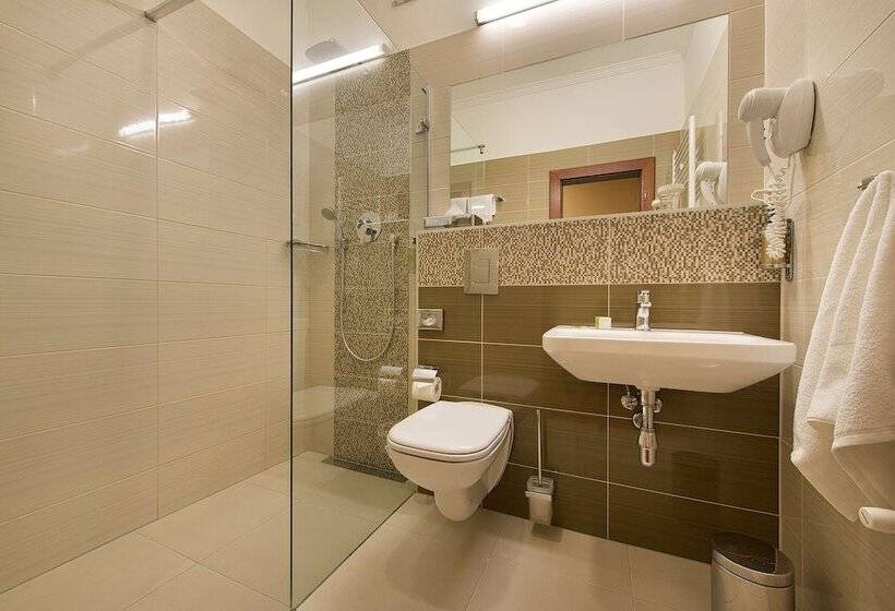 اتاق استاندارد با تراس, Apollo Hotel Bratislava