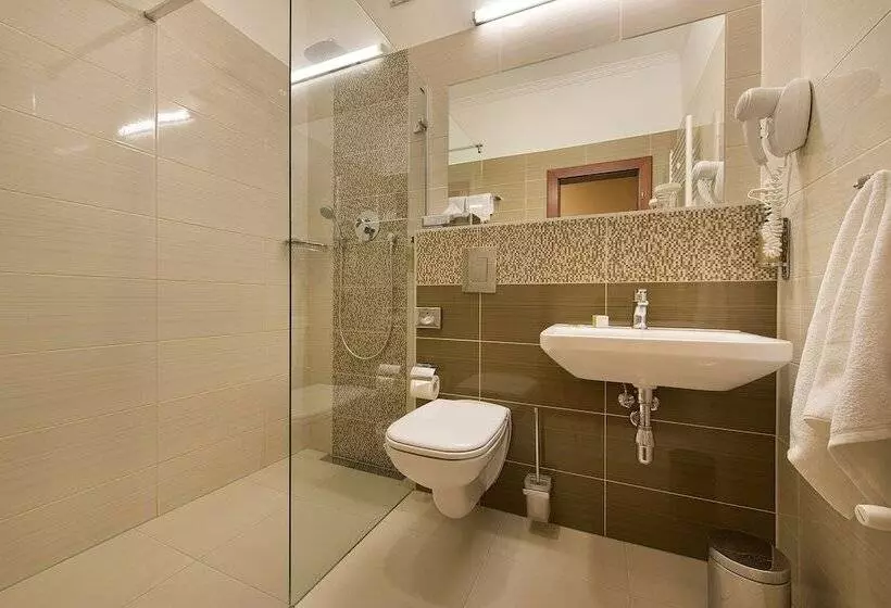 اتاق استاندارد با تراس, Apollo Hotel Bratislava