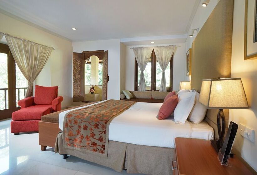 豪华房间, Arma Museum & Resort, Chse Certified