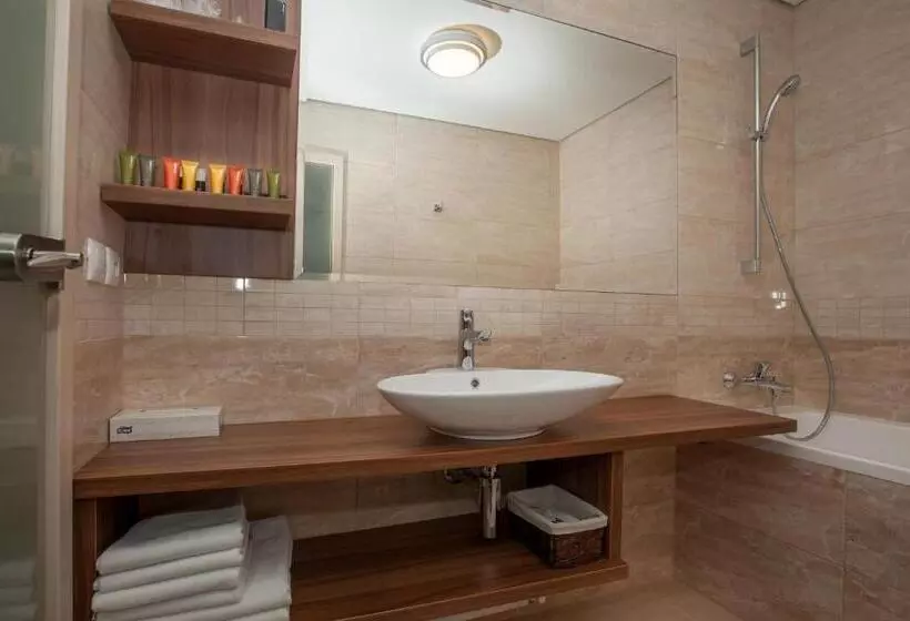 １ベッドルームアパートメント, Metropol