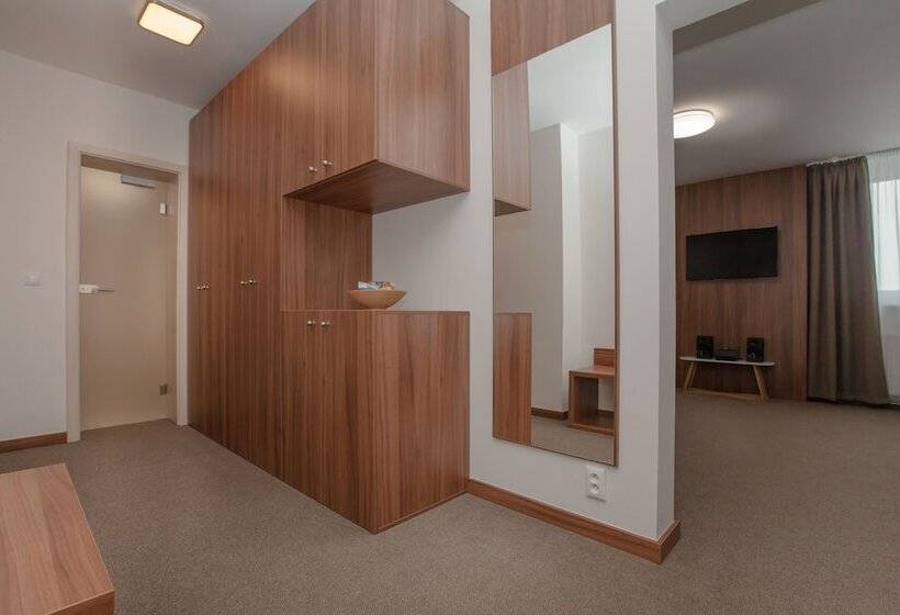 带1个卧室的公寓, Metropol