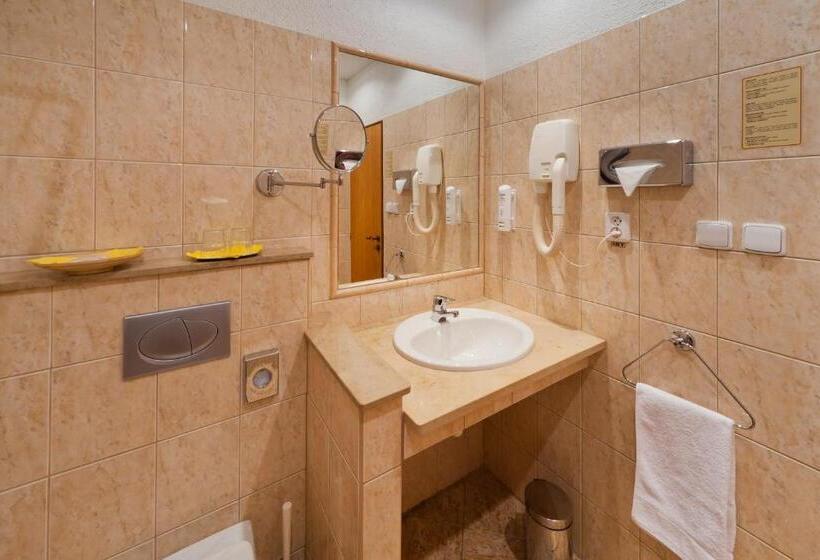 带大床的标准间, Panorama