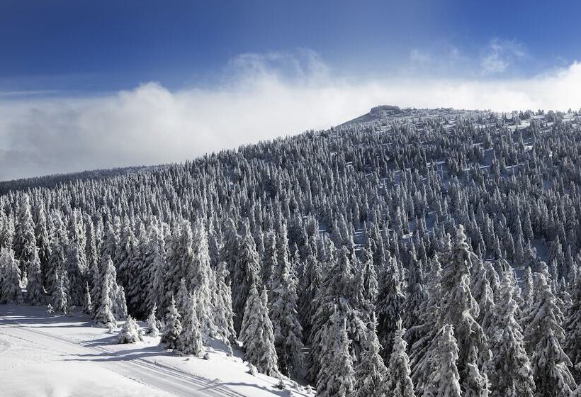 חדר קומפורט, Petrovy Kameny