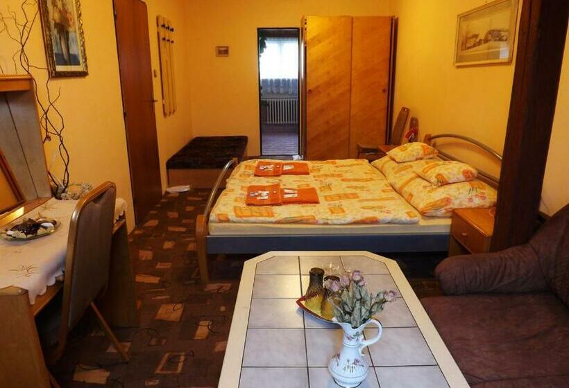 غرفة قياسية, Avion