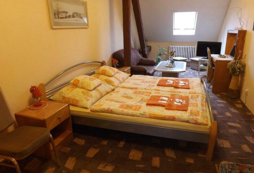 غرفة قياسية, Avion