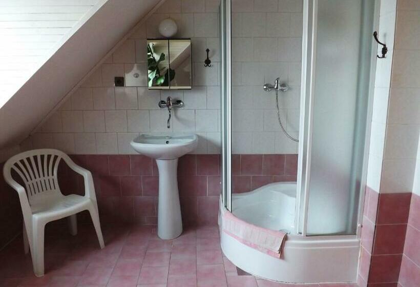 غرفة قياسية, Avion