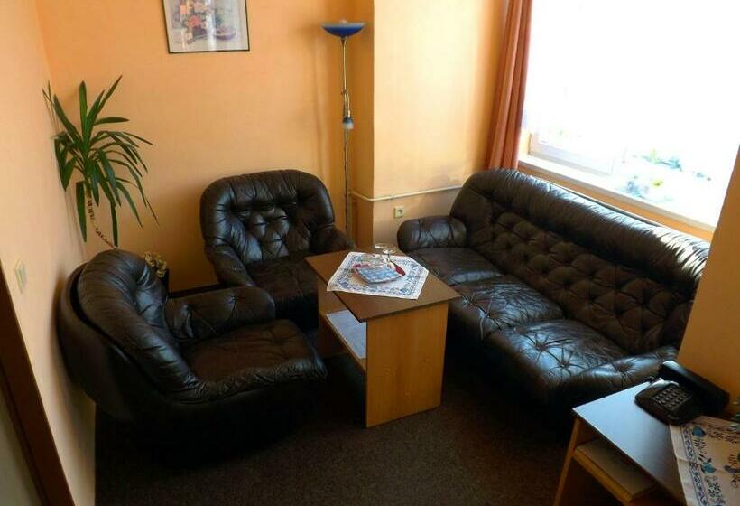 غرفة قياسية, Avion