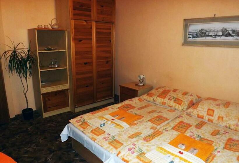 غرفة إقتصادية, Avion