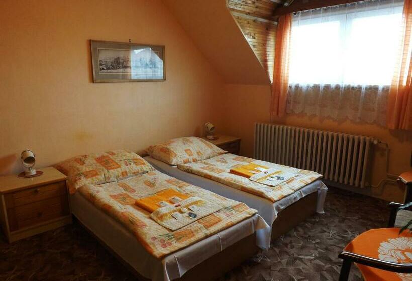 غرفة إقتصادية, Avion