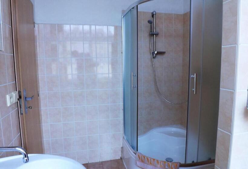 غرفة إقتصادية, Avion