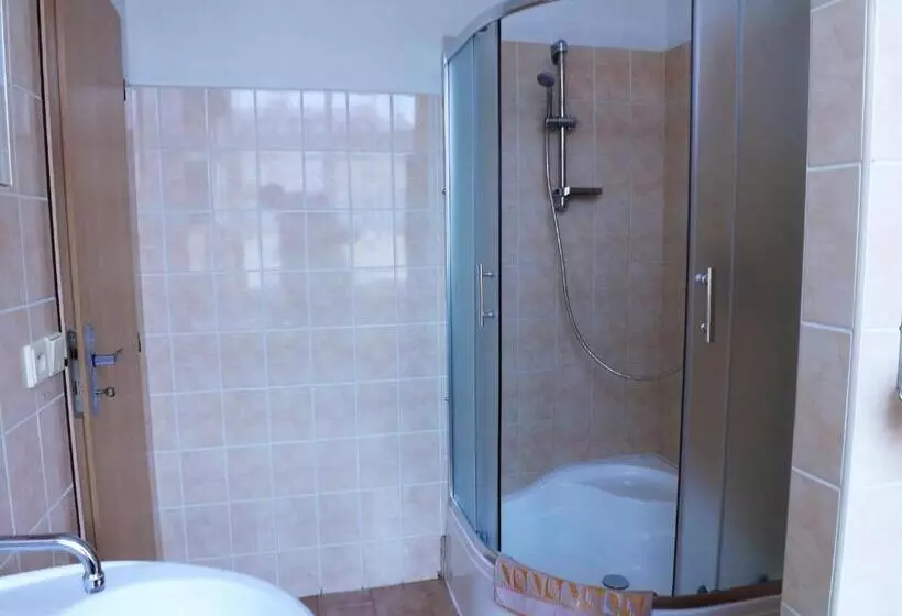 Quarto Economy, Avion