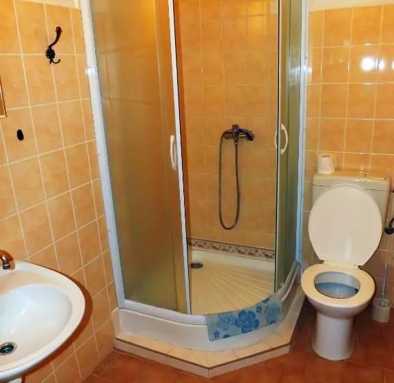Quarto Economy, Avion