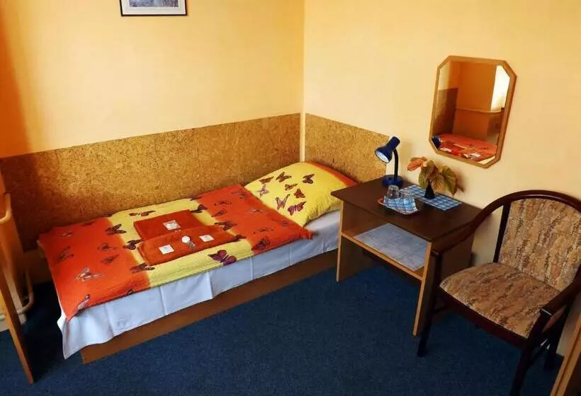 Quarto Economy, Avion