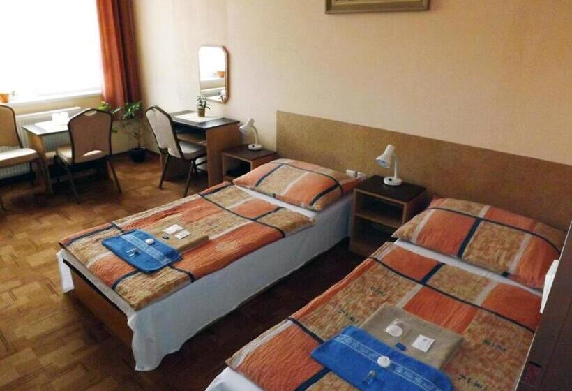 غرفة إقتصادية, Avion