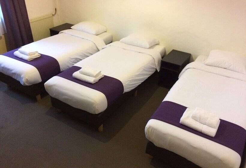 베이직 3인 룸, Bellington