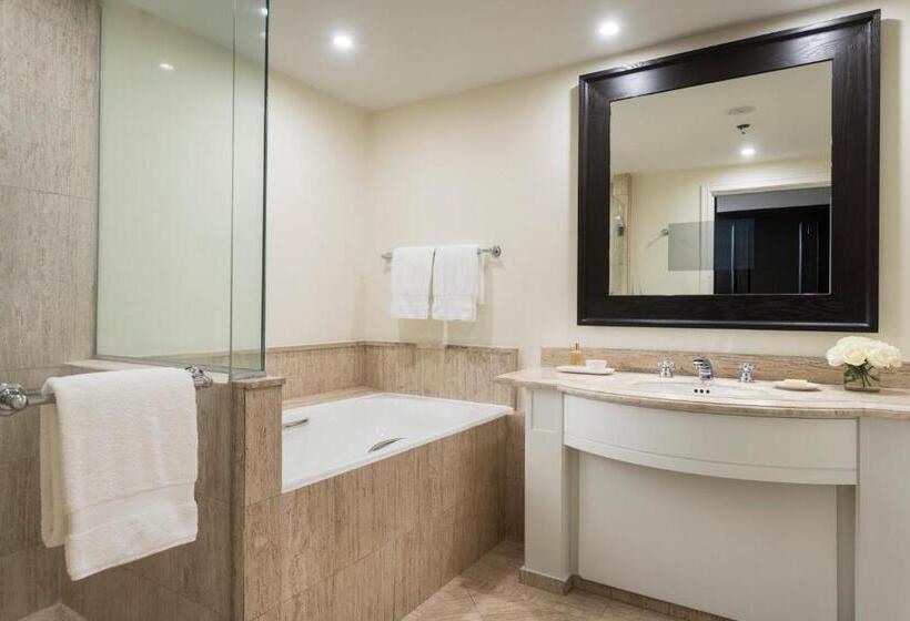 プレミアムルーム, Four Seasons Hotel Mexico City