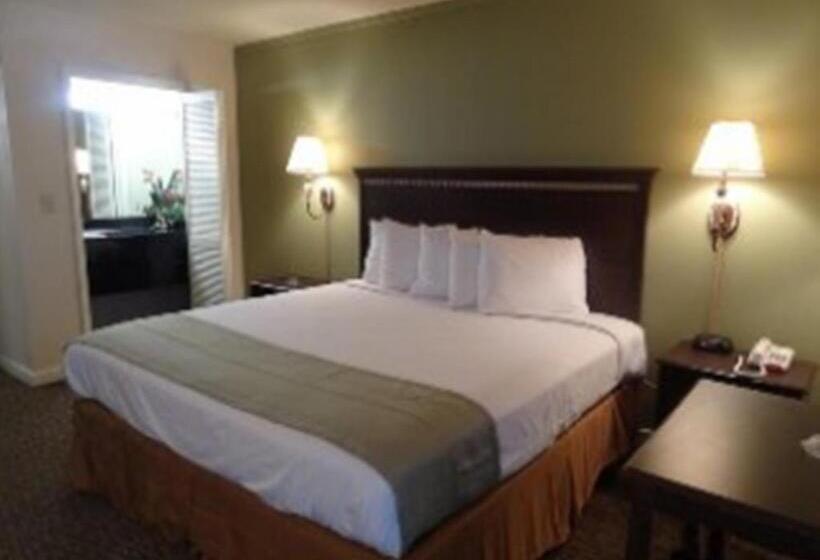 基本三人间, Motel 6 Abbeville, Al