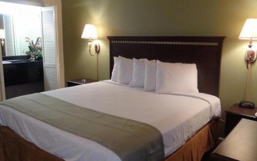 基本三人间, Motel 6 Abbeville, Al