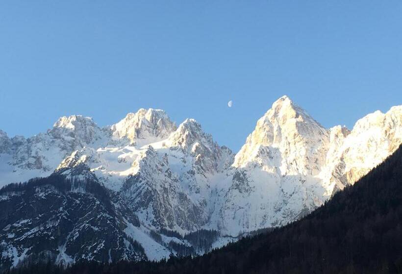 اتاق خانوادگی, Kotnik Superior Boutique