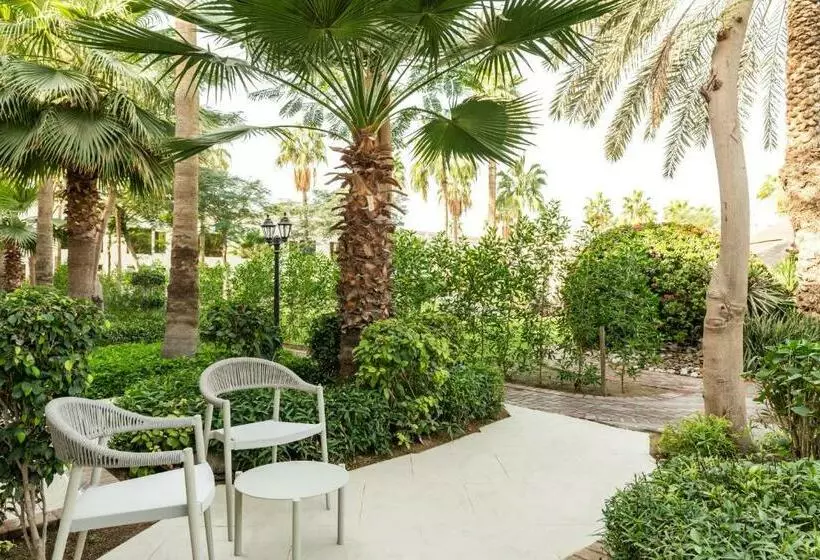 اتاق لوکس با چشم‌انداز باغ, Le Méridien Dubai Hotel & Conference Centre