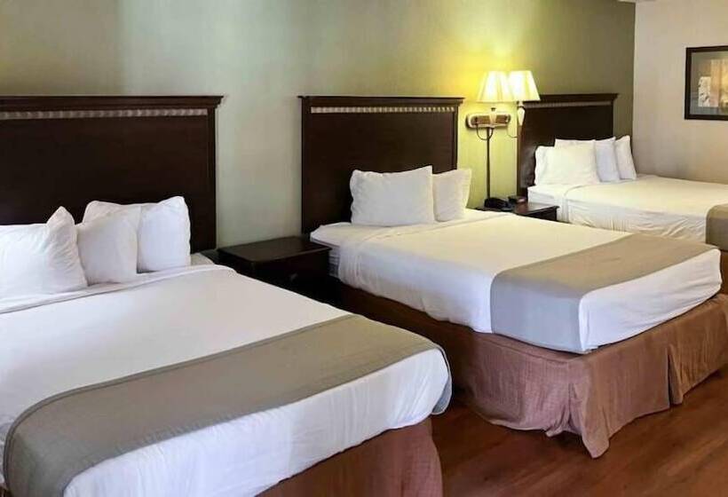 标准间, Motel 6 Abbeville, Al