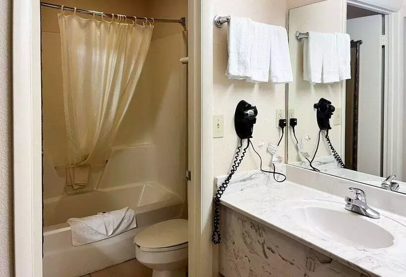 スタンダードルーム, Motel 6 Abbeville, Al