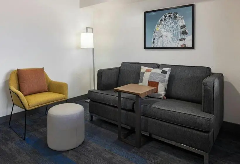 اتاق استاندارد با تخت دو نفره بزرگ برای معلولان, City Express by Marriott Santa Ana/Orange County Airport