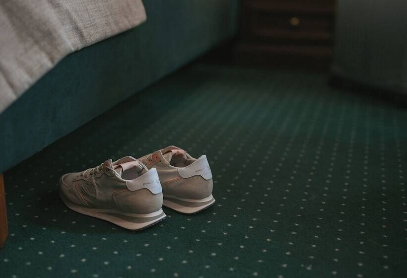 스탠다드 싱글 룸, Manni Das