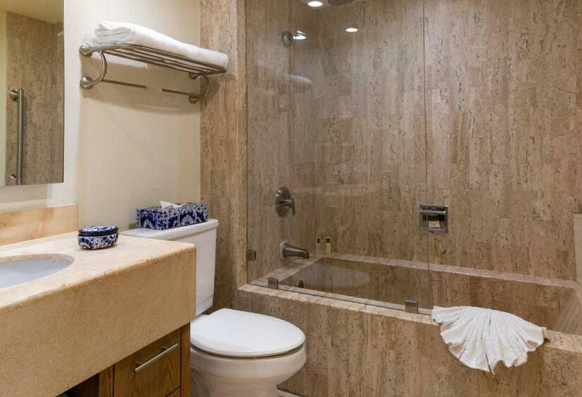 스위트, Villa Del Palmar Beach Resort & Spa