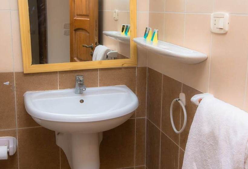 اتاق اکونومی, Dyarna Dahab