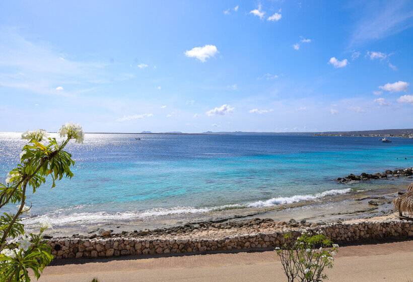 سوییت با چشمانداز دریا, Van Der Valk Plaza Beach & Dive Resort Bonaire