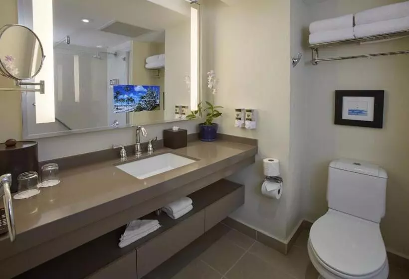 اتاق استاندارد با تخت بزرگ, Bucuti & Tara Boutique Beach Resort  Adult Only