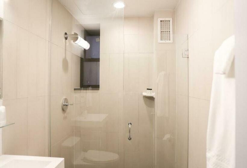 豪华房间, Belleclaire Central Park