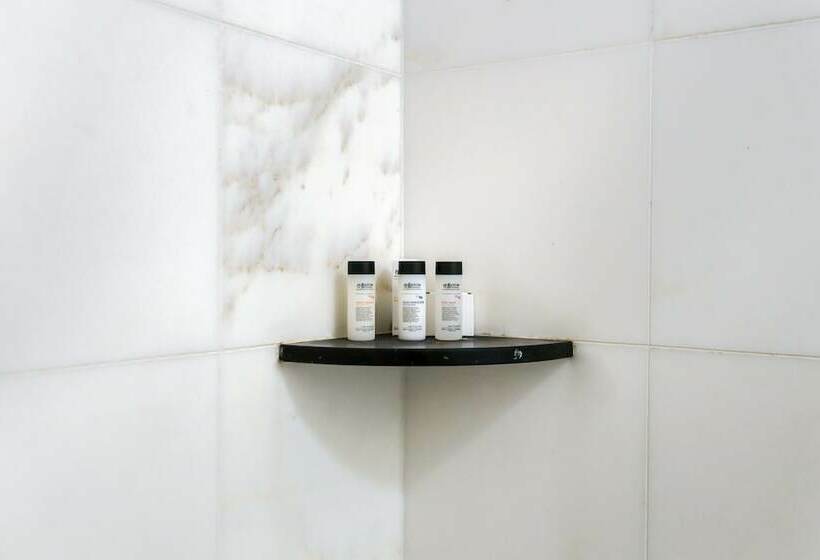 高级客房, Belleclaire Central Park