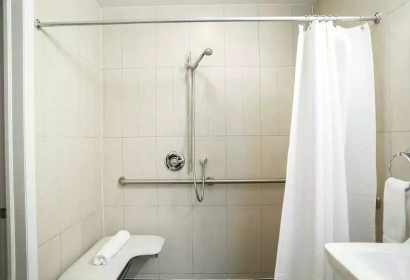 Deluxe-huone Soveltuu Liikuntarajoitteisille, Belleclaire Central Park