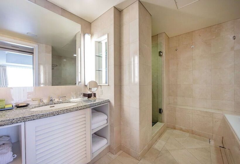 جناح مزود بتراس, Hilton Tokyo Odaiba