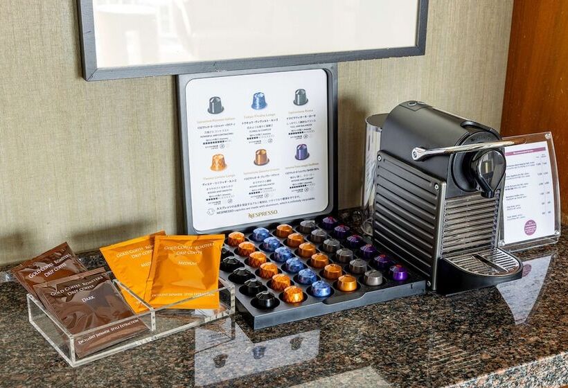 جناح مزود بتراس, Hilton Tokyo Odaiba