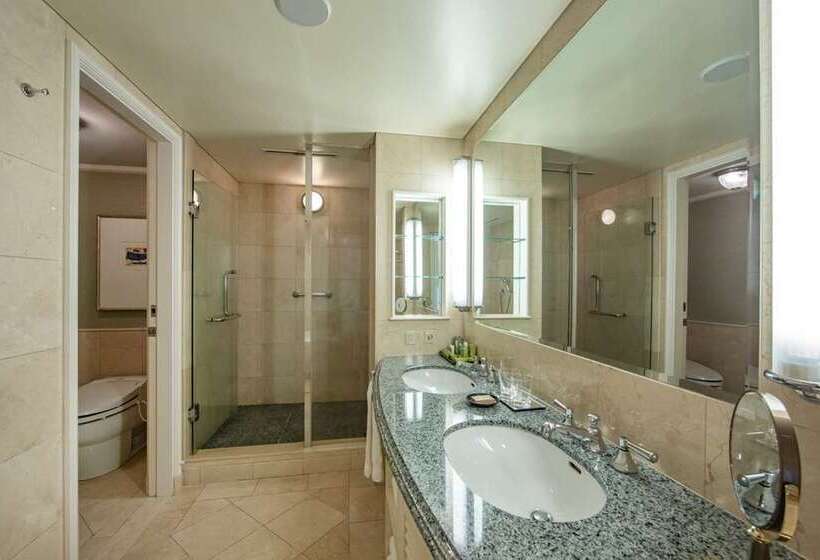 جناح ديلوكس, Hilton Tokyo Odaiba