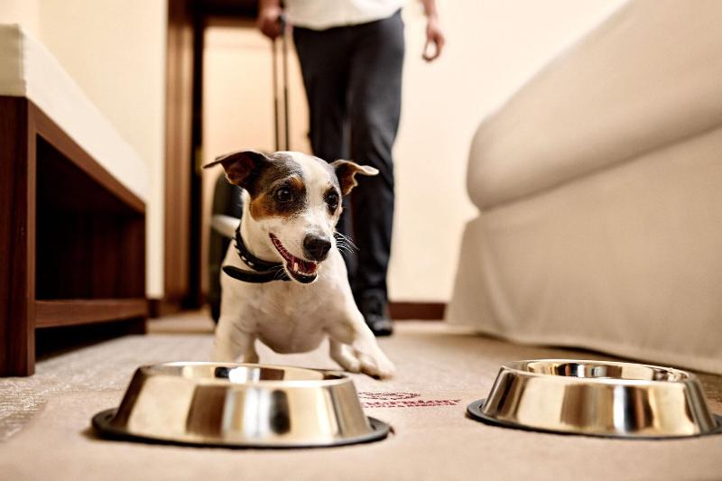 이그제큐티브 룸, Sheraton Zagreb