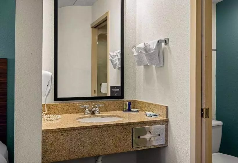 اتاق استاندارد با 2 تخت دوبل, Sleep Inn
