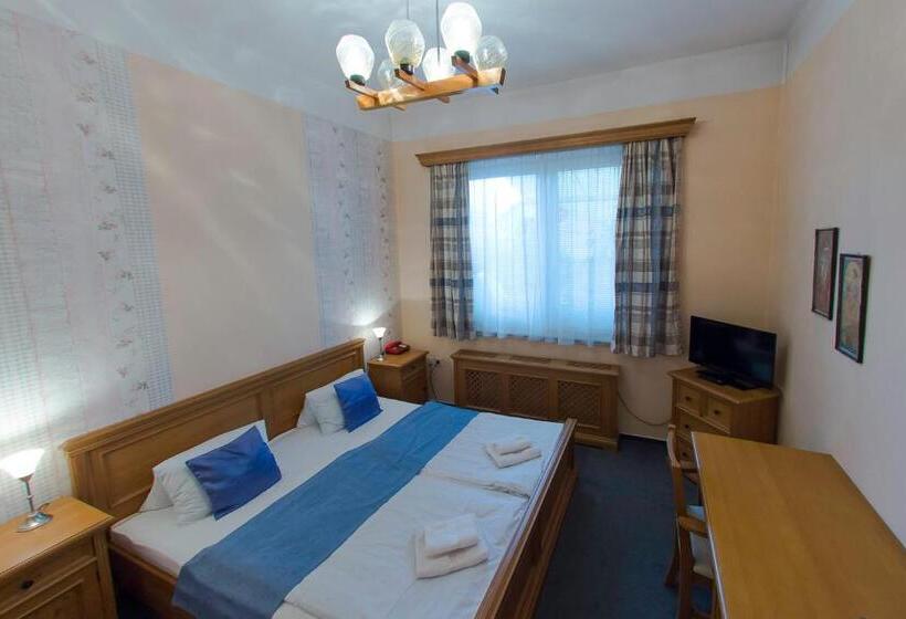 スタンダードルーム, Soudek